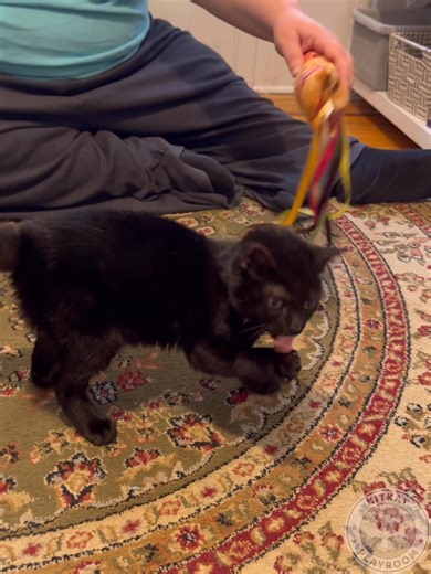 73K views · 5.8K reactions | Zoe has reached one of the biggest...