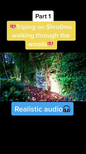 Exploring the Woods on a Mushroom Trip