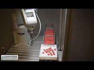 EASYFEED Robotic Flexible Feeding System