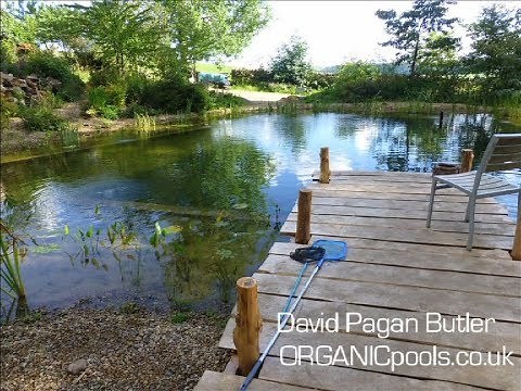 How to make an Organic: Natural Pool in the woods