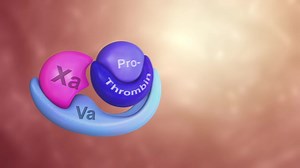Coagulation Cascade Animation - Physiology of Hemostasis