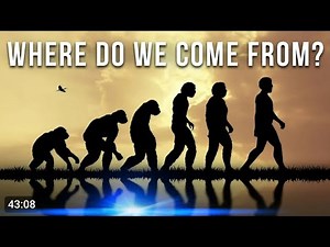 Human Evolution: The Complete Story Of Our Existence