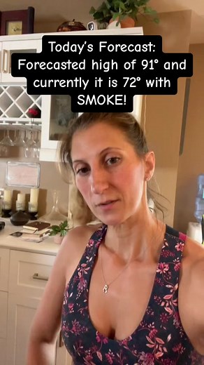 Canada Fires in Chicagoland #canadafire #CanadaWildfires #ChicagoForecast #Chicago #ChicagoWeather #CanadaFiresAffectingChicago #wildfiresmoke #forecast #fyp