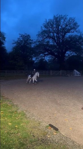 Evening jump lesson #horse #equestrianjourney #equestrian