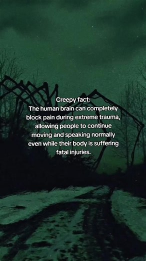 Understanding Pain Blockage in Trauma Situations