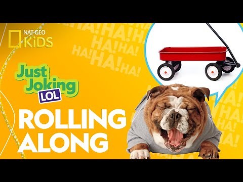 Rolling Along | Just Joking—LOL