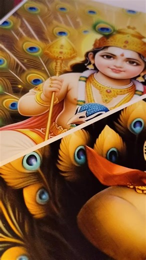 green peacock world on TikTok