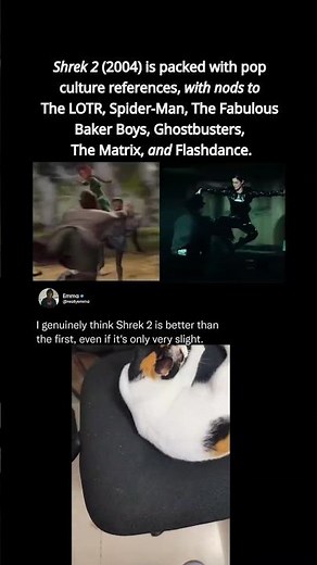 Shrek 2 (2004) is packed with pop culture references, with nods to The LOTR, Spider-Man