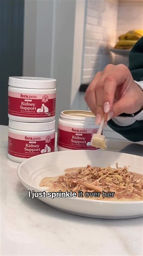 80% of cats over the age of 15 have chronic kidney disease. Your cat’s kidneys are key to their health, and that's why we're introducing our new Kidney Support Powder - a vet-created, all-natural formula to give them the support they need🌸 Formulated with Astragalus, known to support normal kidney function, Rehmannia and Cordyceps to promote balanced fluids and normal detoxification, and a clinically studied blend of probiotics to support kidney health and energy levels. | Fera Pets