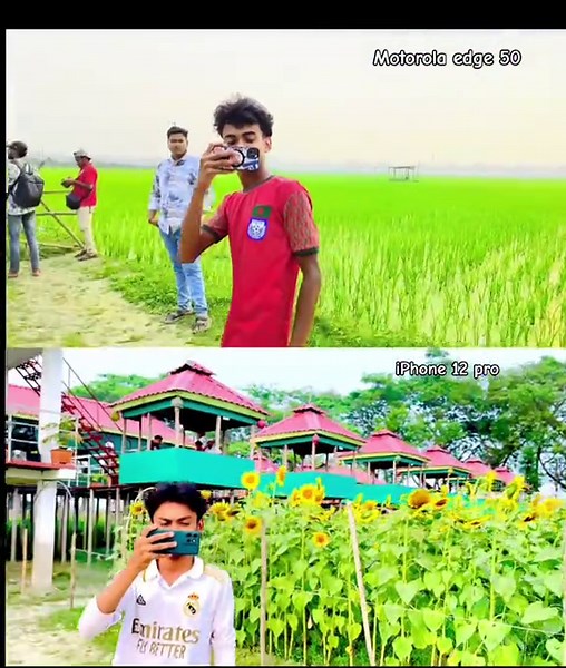 Motorola Edge 50 vs iPhone 12 Pro: Which is Better?