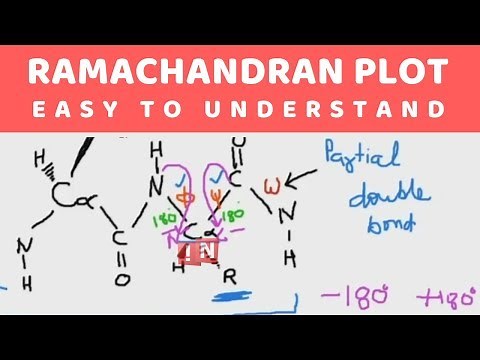 Ramachandran Plot - Easy to Understand