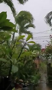 Westernpacificweather.com