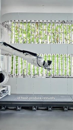 One-of-a-kind factory in Singapore | Hyundai x CNN