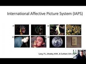 Affective Neuroscience part 3