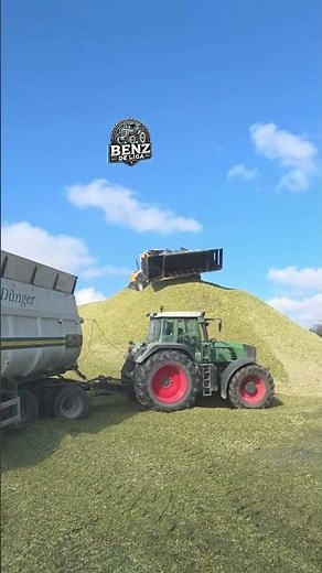 Fendt 930 TMS lädt Mais ab🌽🚜