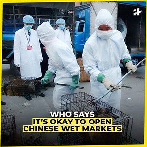 Despite proof that COVID-19 spread from wet market, WHO says it's okay to keep them open. World Health Organization (WHO) | Indiatimes