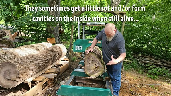 Milling Black Locust on the Woodland Mills HM130MAX Sawmill