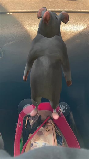 Milton Rat Dancing AR