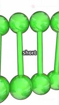DNA Replication and Protein Synthesis