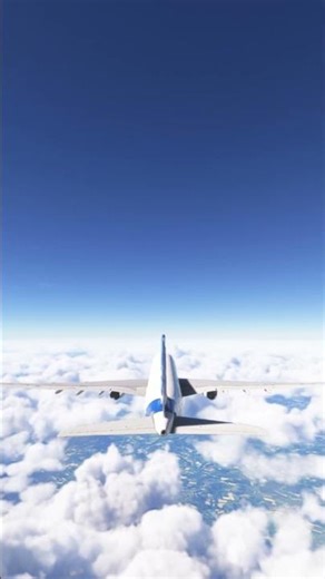 AIRBUS A330 Munich 02