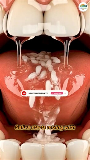 What Happens to Rice Inside Your Body #digestion #animation