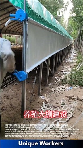 Smart Greenhouse Design: Operating a Manual Roll-Up Side Curtain System