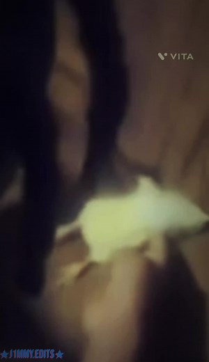 Mike Tyson's Childhood Story with Pigeons