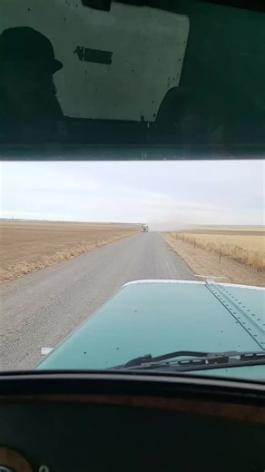 Brandon Todd (@todd_6.fo)’s videos with Oh got your bxttthole - Suren