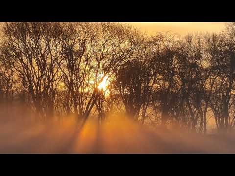 Live Cameras - 5 to 8 minute rotation of views.