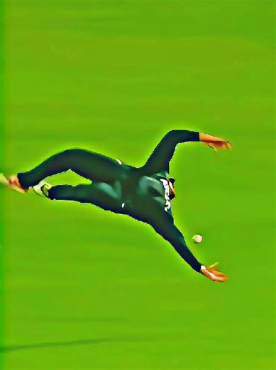 Glenn Phillips: Top Fielding Moments in Cricket