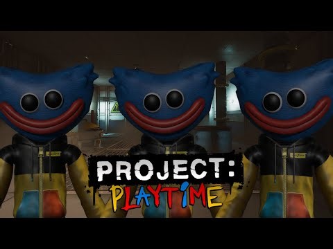 Project: Playtime Ticket Bug!
