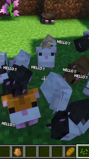 Minecraft cute moment✨❤️