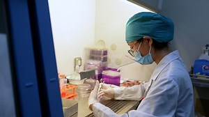 Technique for Isolation and Culture of Rat Jaw Bone Marrow Mesenchymal Stem Cells