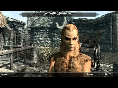 Skyrim Characters - Pretty Female High Elf Stats