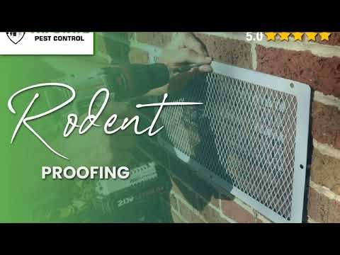 Tri-State Pest Control: Expert Exterminator Services in NYC & Brooklyn for Rodents & Bed Bugs