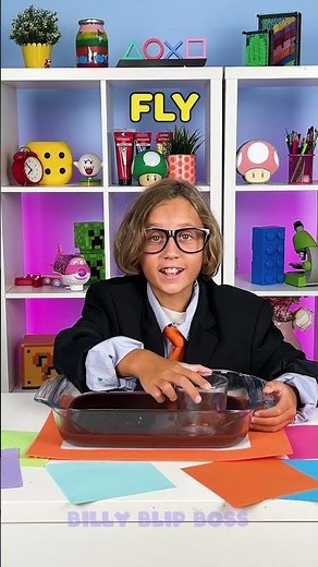 Chocolate Bug Adventure🍫🪰 Discover Insects in a Fun Way!