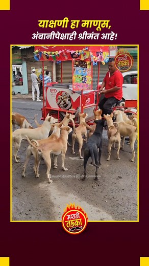 आज बघितलेला सर्वात सुंदर व्हिडिओ! | Marathi Tadka - मराठी तडका