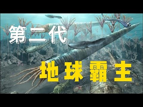 直壳鹦鹉螺：第二代霸主｜奥陶纪典型生物｜地球简史系列8｜海民大叔