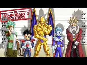 The Temporary Z Fighters