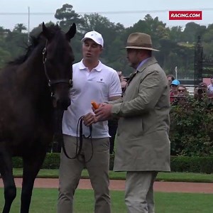 250K views · 7.8K reactions | Happy birthday to this perfect horse. Show some love for Black Caviar... ❤️ | Racing.com | Facebook