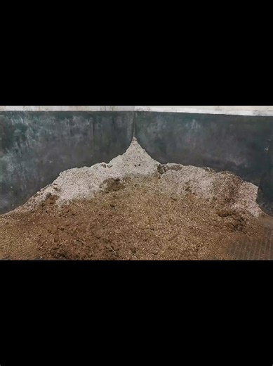 Morning stable muck out. #cleantok #equestrianlife #fyp #muckingout #virall