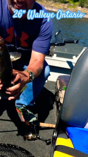 Northern Ontario walleye fishing #walleyefishing #walleye #ontario #northernontario #tlcfa #fyp