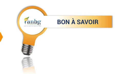 [AnbgTips] 🔔 Tout savoir sur la procédure à suivre pour intégrer l'enseignement supérieur Français : ✅ Les dates ; ✅ La plateforme d'inscription. On vous explique tout dans cette capsule Plus d’infos 👉🏽 https://pastel.diplomatie.gouv.fr/etudesenfrance/dyn/public/authentification/login.html Parcoursup Campus France Gabon #session2024_25 | Agence Nationale des Bourses du Gabon