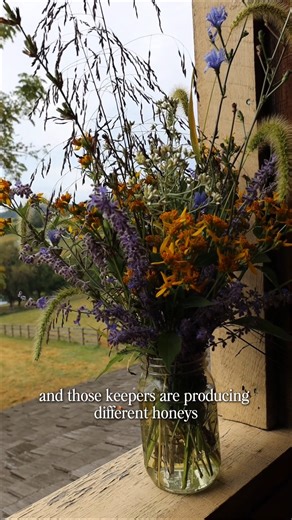 Word of the Day: APIARY 🐝 Also known as a bee yard or bee farm, an apiary is a place where beehives or honeybee colonies are kept and managed by beekeepers like Amanda! #VirginiaIsForLovers -------- FB: Edgewood Apiaries & Farm IG: @edgewoodapiaries | Root to Table