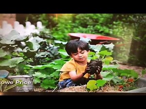 Molly of Denali Funding and ending credits