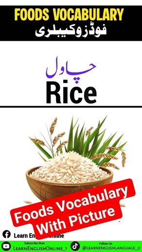 Foods Vocabulary With Picture 🖼️ 🍔 #foryou #food #englishtourduspeakingcourse