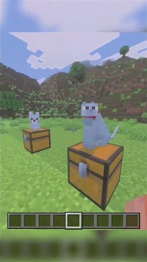 Chest bug rock glitch #minecraft