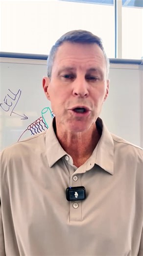 Systemic Formulas on Instagram: "Your lipid intake could be the secret to a healthier you—imagine feeling more energy."