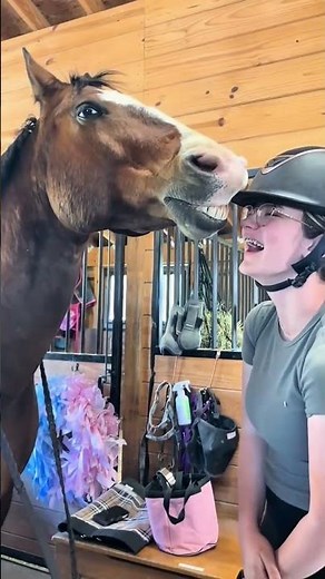 Funniest Horse Fails Part 5: Can't Stop Laughing! 🐎😂 #Shorts