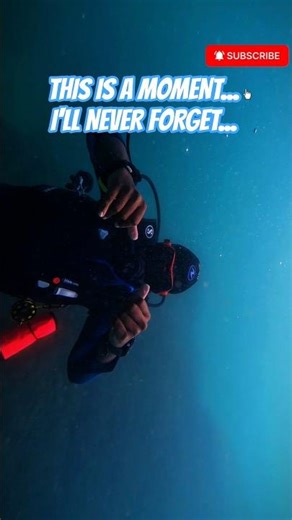 Underwater World — Scuba Dive Vlog #shorts #viral